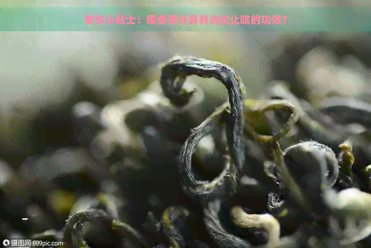 茶饮小贴士：哪些茶叶具有消炎止咳的功效？