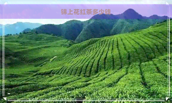 锦上花红茶多少钱