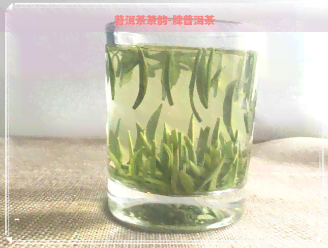 普洱茶茶韵-牌普洱茶