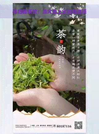 孕妇健茶饮：清火去上火的新选择