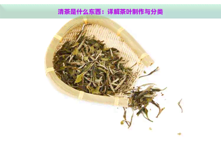 清茶是什么东西：详解茶叶制作与分类