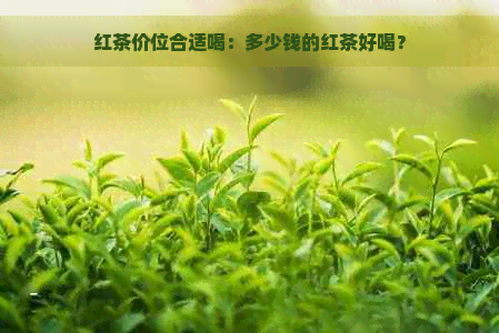 红茶价位合适喝：多少钱的红茶好喝？