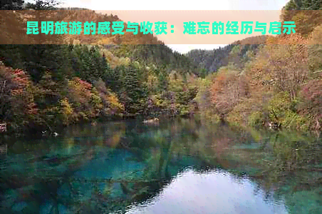 昆明旅游的感受与收获：难忘的经历与启示