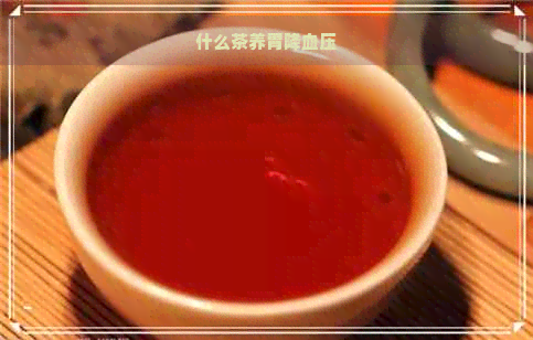 什么茶养胃降血压