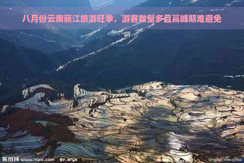 八月份云南丽江旅游旺季，游客数量多且高峰期难避免
