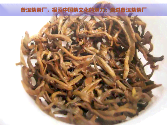 普洱茶茶厂，探索中国茶文化的魅力：走进普洱茶茶厂