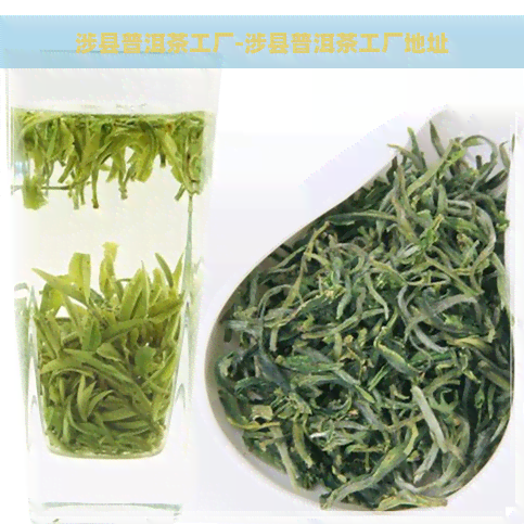 涉县普洱茶工厂-涉县普洱茶工厂地址