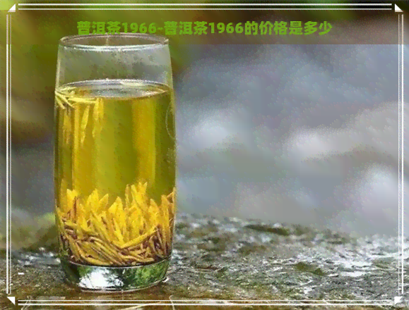 普洱茶1966-普洱茶1966的价格是多少