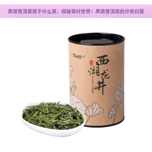 黑茶普洱茶属于什么茶，探秘茶叶世界：黑茶普洱茶的分类归属