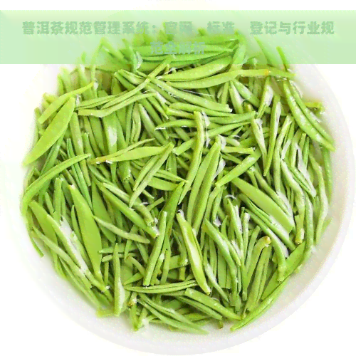 普洱茶规范管理系统：官网、标准、登记与行业规范全解析