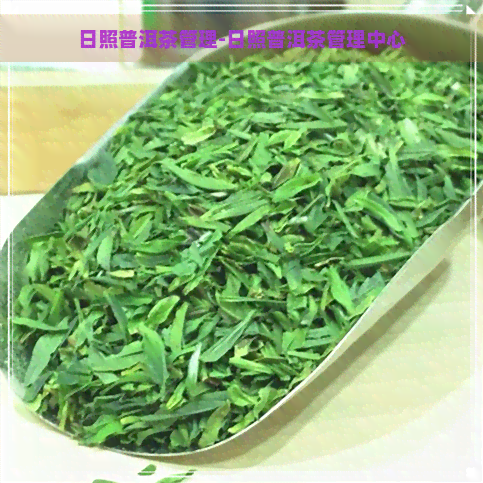 日照普洱茶管理-日照普洱茶管理中心