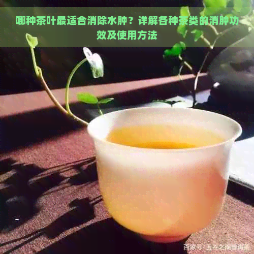 哪种茶叶最适合消除水肿？详解各种茶类的消肿功效及使用方法