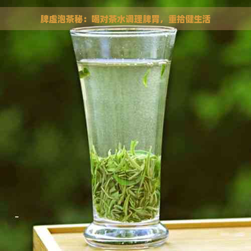 脾虚泡茶秘：喝对茶水调理脾胃，重拾健生活