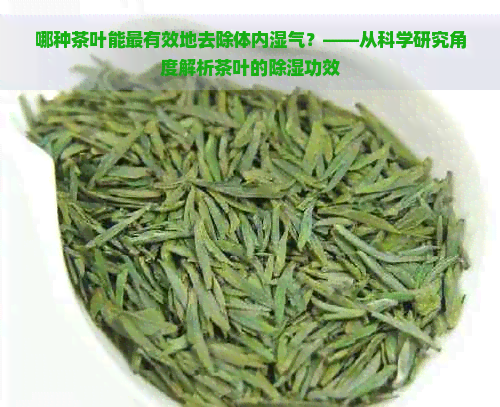 哪种茶叶能最有效地去除体内湿气？——从科学研究角度解析茶叶的除湿功效