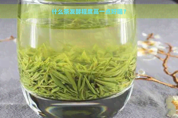 什么茶发酵程度高一点好喝？