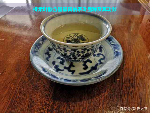 探索叶酸含量更高的茶叶品种及其功效