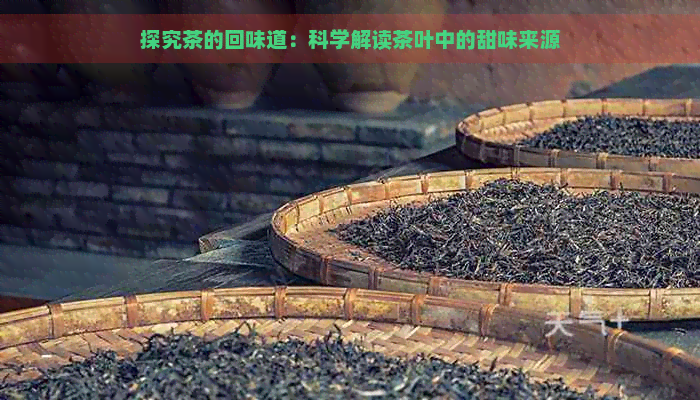 探究茶的回味道：科学解读茶叶中的甜味来源