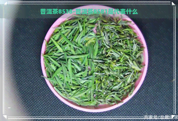 普洱茶8538-普洱茶8581是代表什么