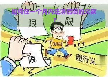 如何在一个月内还清借呗的欠款？