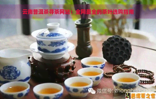 云南普洱茶寻茶网站：全网最全的茶叶选购指南