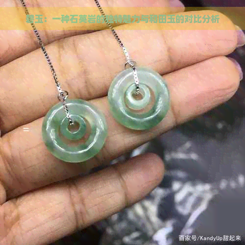 碧玉：一种石英岩的独特魅力与和田玉的对比分析