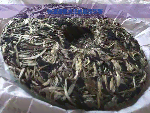 快速通便减肥的健茶饮秘