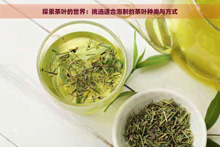 探索茶叶的世界：挑选适合泡制的茶叶种类与方式