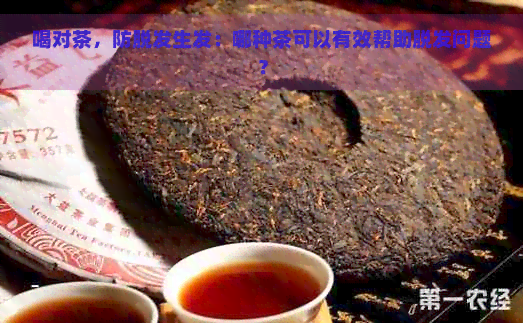 喝对茶，防脱发生发：哪种茶可以有效帮助脱发问题？