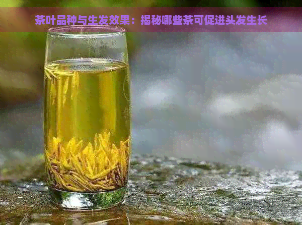 茶叶品种与生发效果：揭秘哪些茶可促进头发生长