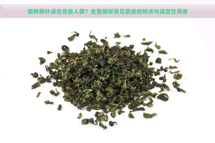 哪种茶叶适合各类人群？全面解析常见茶类的特点与适宜饮用者