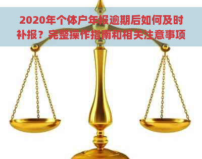 2020年个体户年报逾期后如何及时补报？完整操作指南和相关注意事项一览