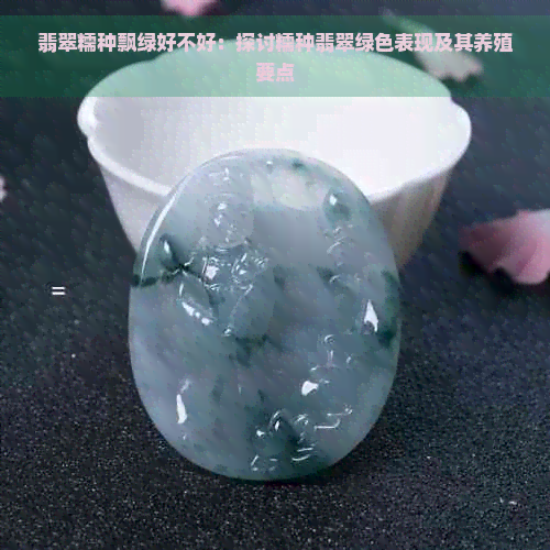 翡翠糯种飘绿好不好：探讨糯种翡翠绿色表现及其养殖要点