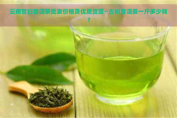 云南昔归普洱茶批发价格及优质货源--古树普洱茶一斤多少钱？