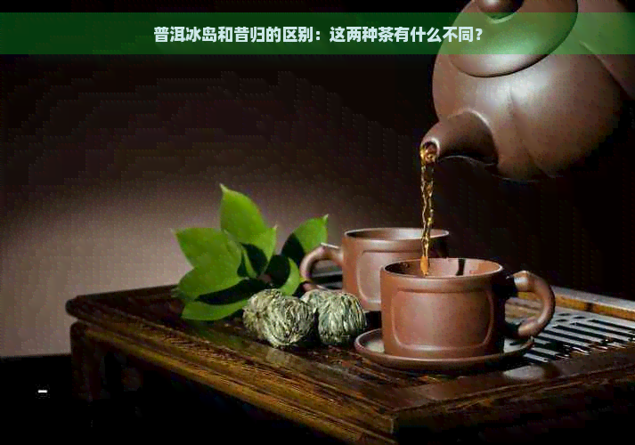 普洱冰岛和昔归的区别：这两种茶有什么不同？