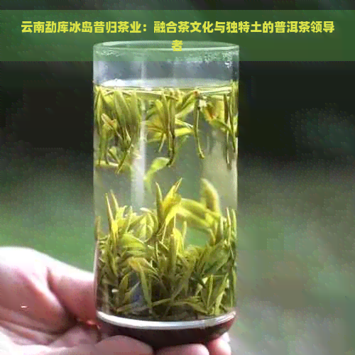 云南勐库冰岛昔归茶业：融合茶文化与独特土的普洱茶领导者