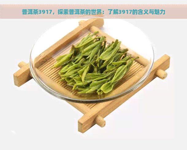 普洱茶3917，探索普洱茶的世界：了解3917的含义与魅力