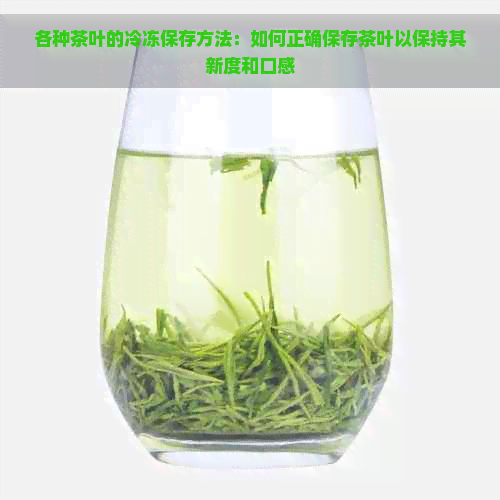 各种茶叶的冷冻保存方法：如何正确保存茶叶以保持其新度和口感