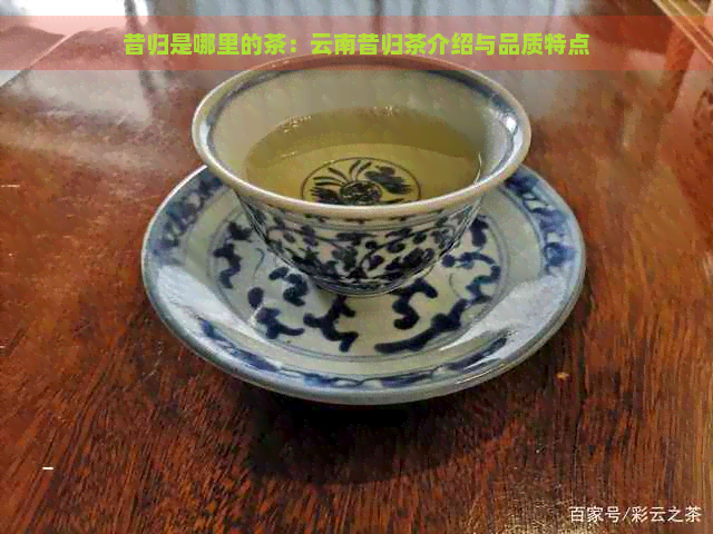 昔归是哪里的茶：云南昔归茶介绍与品质特点