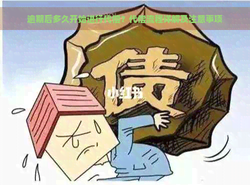 逾期后多久开始进行代偿？代偿流程详解及注意事项