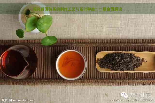 探究普洱砖茶的制作工艺与茶叶种类：一篇全面解读