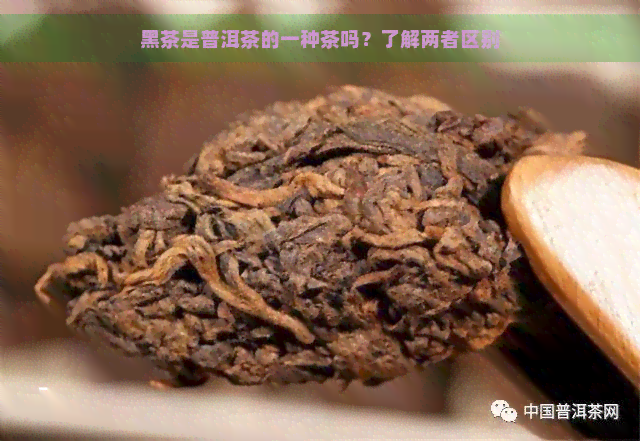 黑茶是普洱茶的一种茶吗？了解两者区别