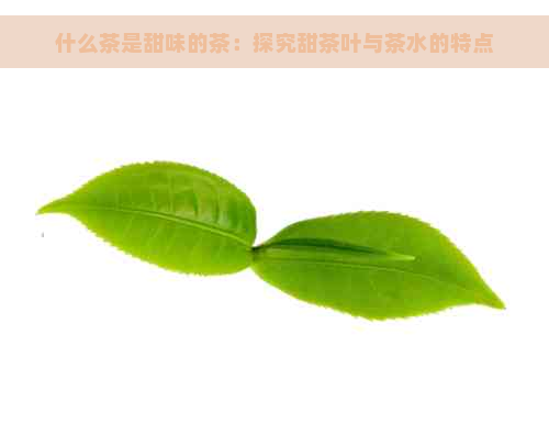 什么茶是甜味的茶：探究甜茶叶与茶水的特点