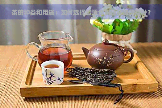 茶的种类和用途：如何选择最适合居住环境的茶叶？