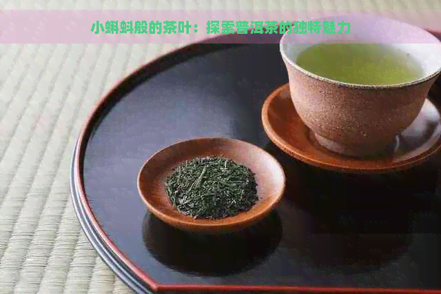 小蝌蚪般的茶叶：探索普洱茶的独特魅力