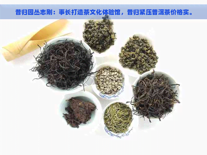 昔归园丛志刚：事长打造茶文化体验馆，昔归紧压普洱茶价格实。