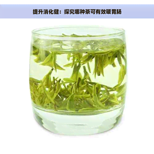 提升消化健：探究哪种茶可有效暖胃肠