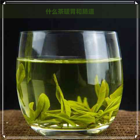 什么茶暖胃和肠道