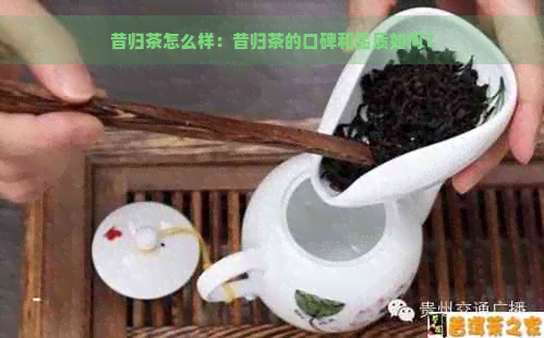 昔归茶怎么样：昔归茶的口碑和品质如何？