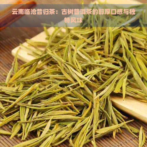 云南临沧昔归茶：古树普洱茶的醇厚口感与独特风味