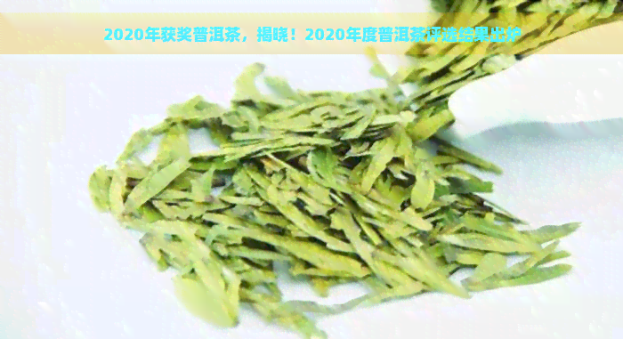 2020年获奖普洱茶，揭晓！2020年度普洱茶评选结果出炉